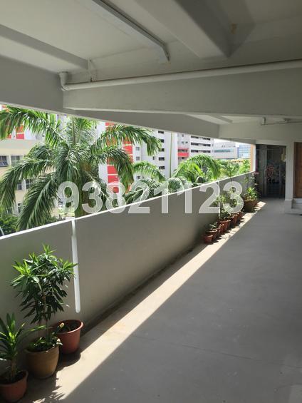 Blk 235 Tampines Street 21 (Tampines), HDB 3 Rooms #131234162